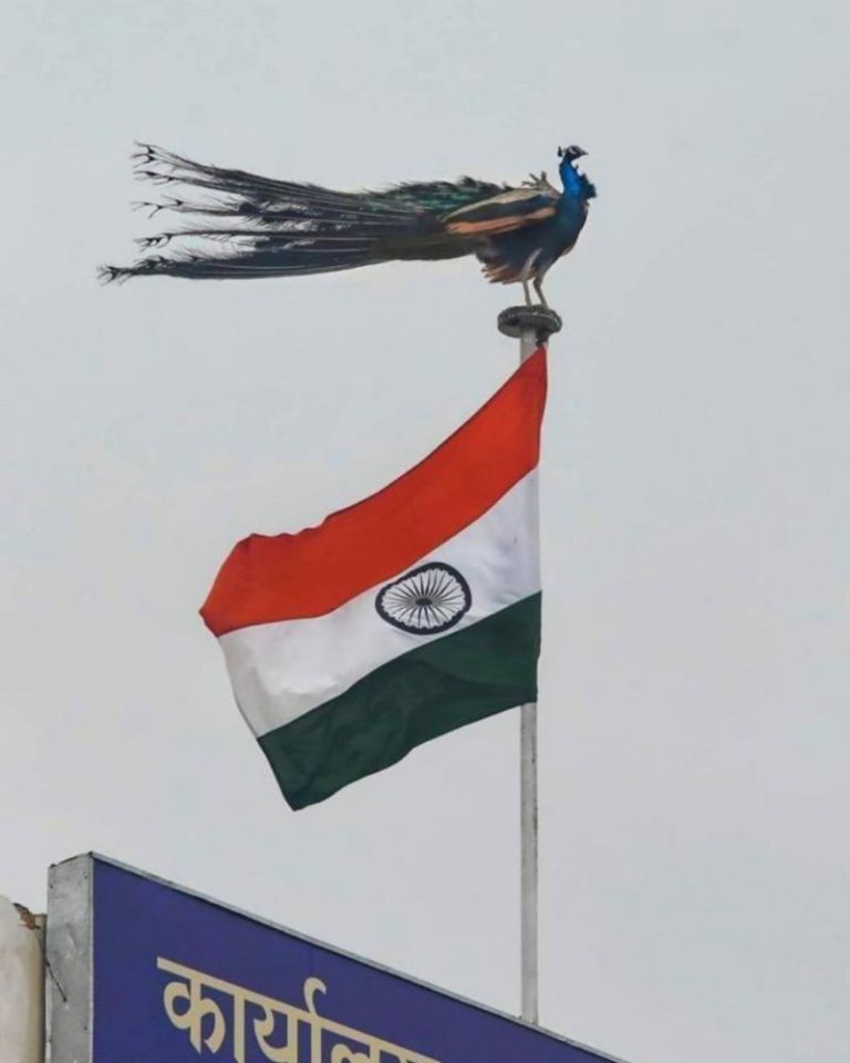 दुर्लभ तस्वीर: राष्ट्रीय ध्वज और राष्ट्रीय पक्षी एक साथ